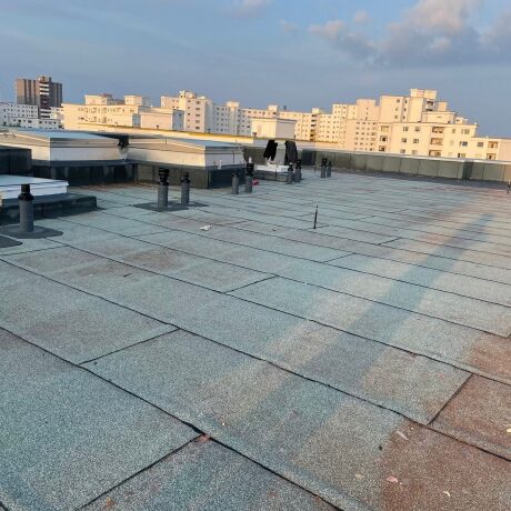 Dach Rollrasen Verlegung