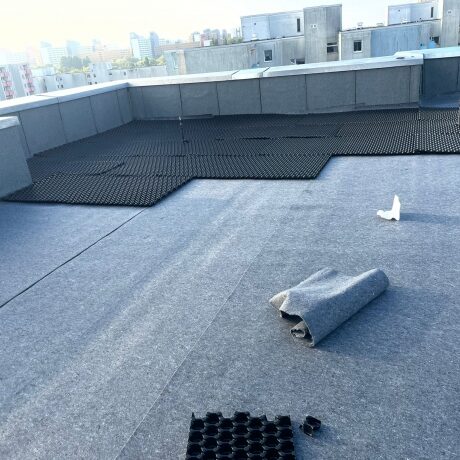 Deammplatten Rollrasen