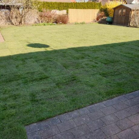 Rollrasen halb im Schatten