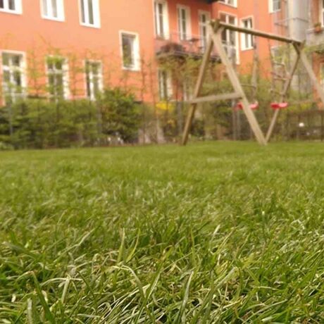 Rollrasen Spielplatz