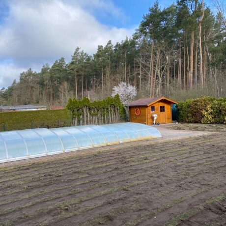 Vorbereitung des Bodes für Rollrasen