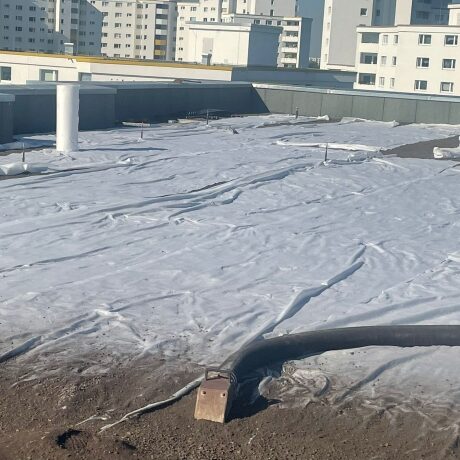 Vorbereitung des Bodes für Rollrasen