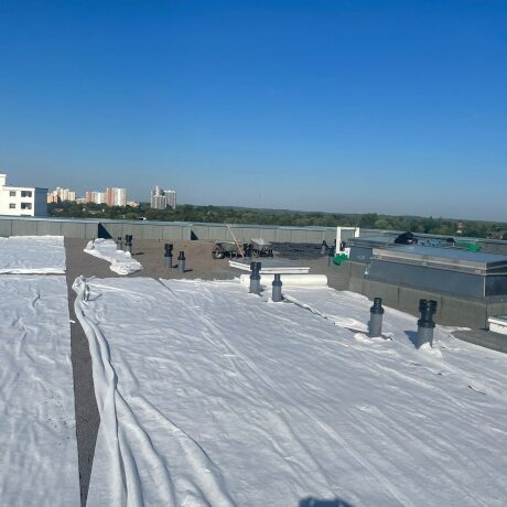 Vorbereitung des Bodes für Rollrasen