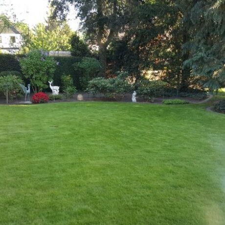 Fertig verlegter Rollrasen