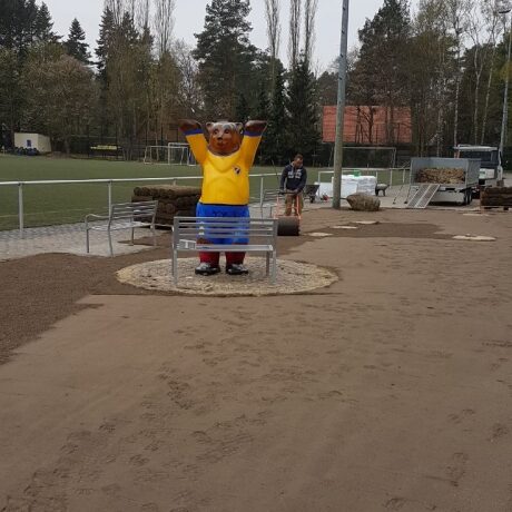 Vorbereitung des Bodes für Rollrasen