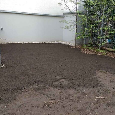 Vorbereitung des Bodes für Rollrasen