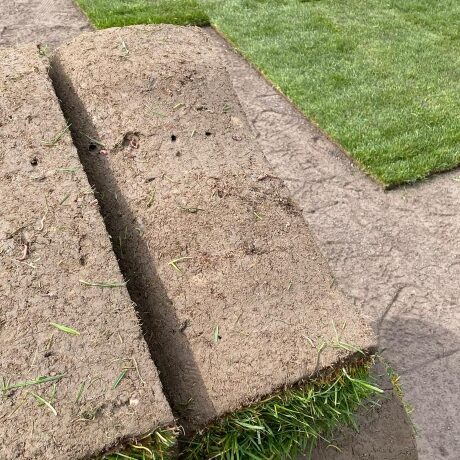 Gesunder Boden für Rollrasen