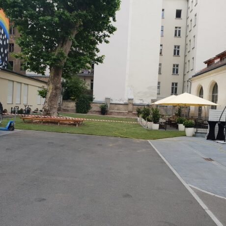 Rollrasen unter Baum