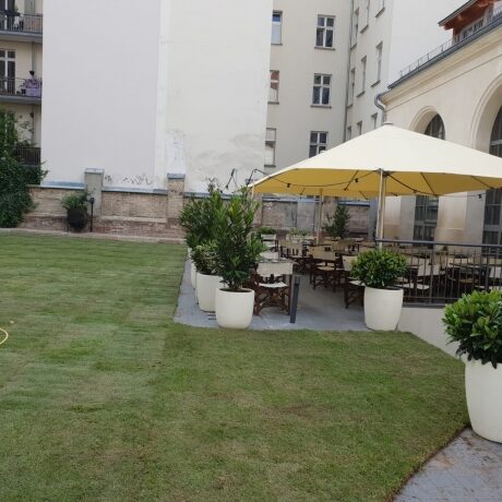 Rollrasen Eventfläche