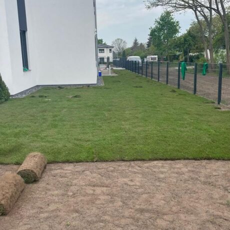 Lieferung und Verlegung Rollrasen Berlin
