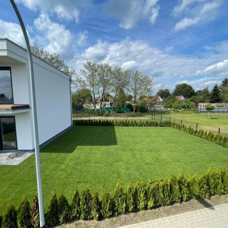 Hellgrüner Rollrasen  in Berlin