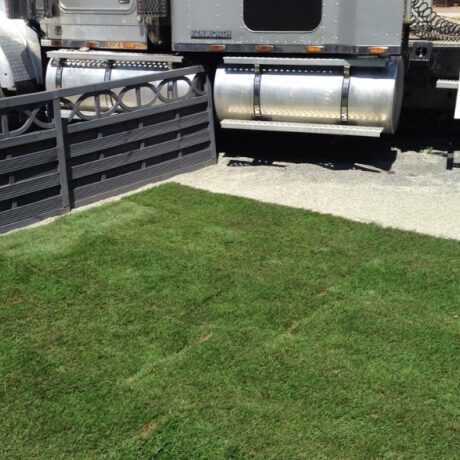 Dunkelgrüner Rollrasen