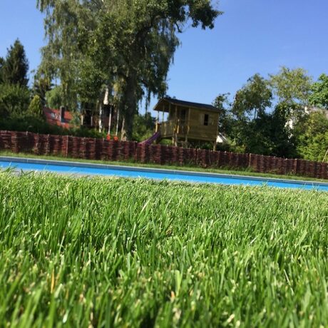 Rollrasen neben Pool.