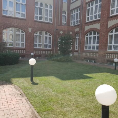 Rollrasen direkt nach der Verlegung