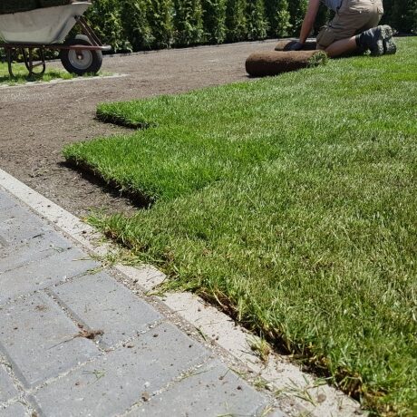 Rollrasen während der Verlegung