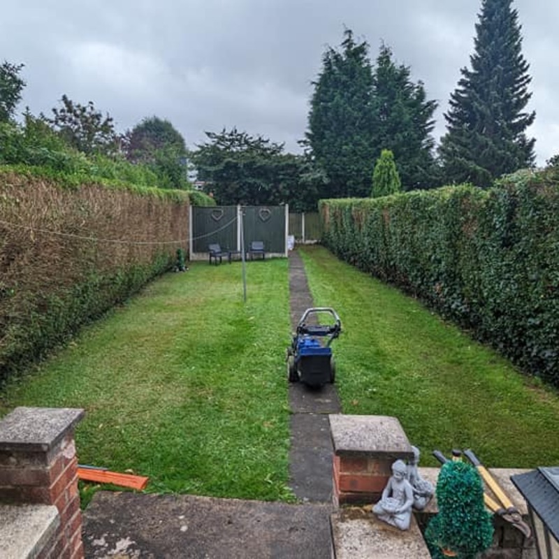 Hedge reduction completed in Mapperley, Nottingham, Regaining some 18-24 inch's of lawn after a previous gardener hadn't kept it tamed.