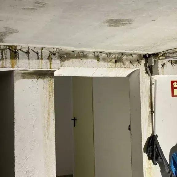 Nasse Stellen und sichtbare Feuchtigkeit im Mauerwerk und im Keller eines Hauses.