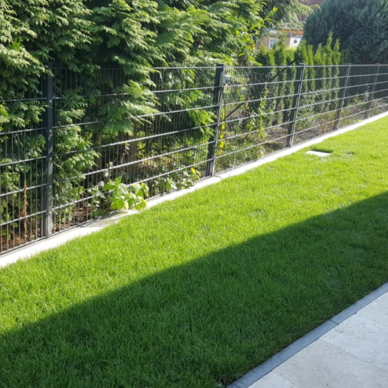 Fertig verlegter Rollrasen bedeckt die Fläche eines Gartens gleichmäßig mit frischem Grün.