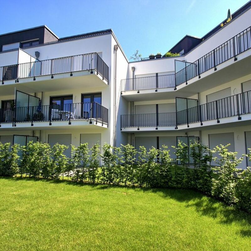 Abels Immobilien GmbH