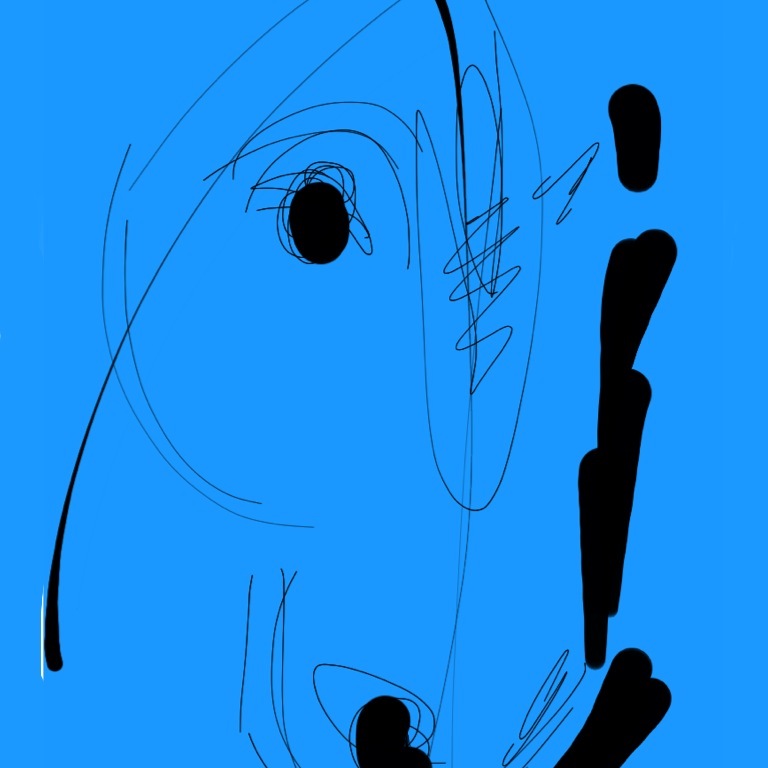 Cabeça de Cavalo, 2014