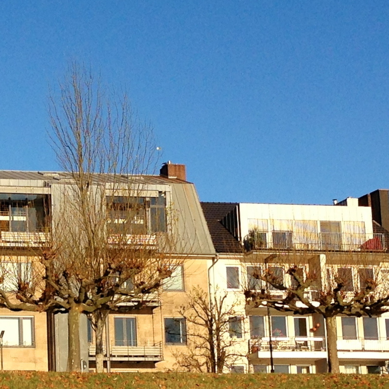 Abels Immobilien GmbH