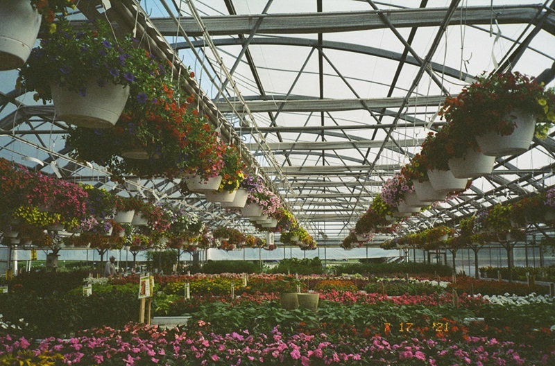 A lovely plant nursery I visited a few years ago