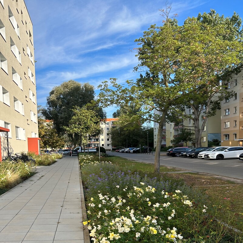 Binsenhof 2-6g,14478 Potsdam 