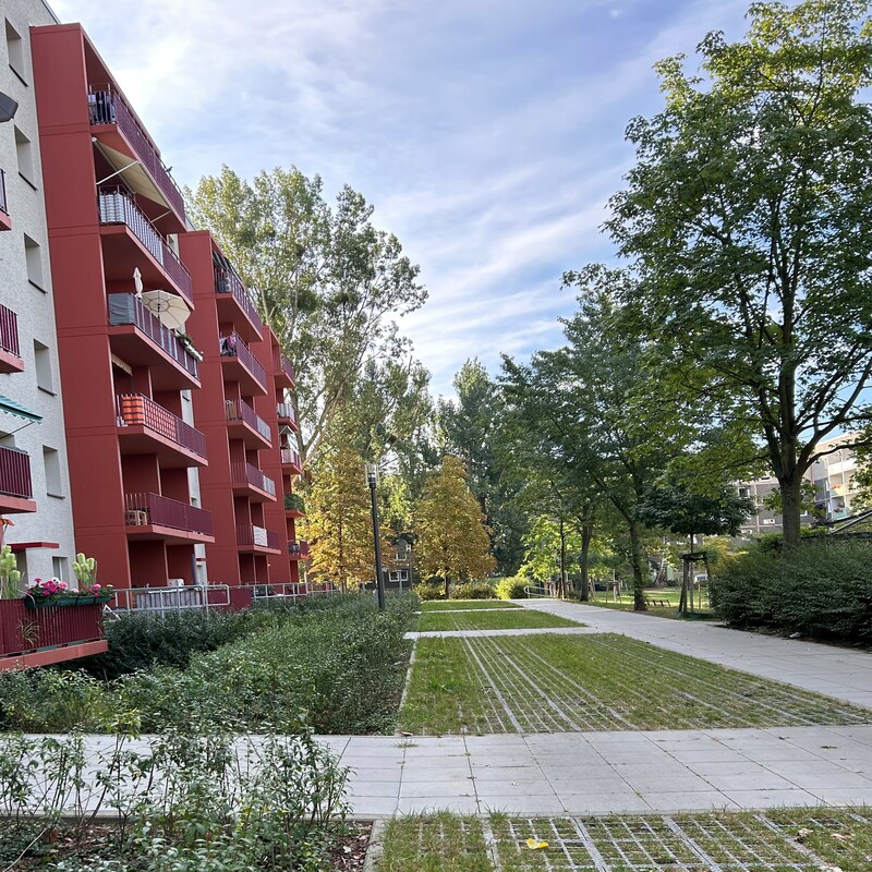 Sanierung Binsenhof, Potsdam