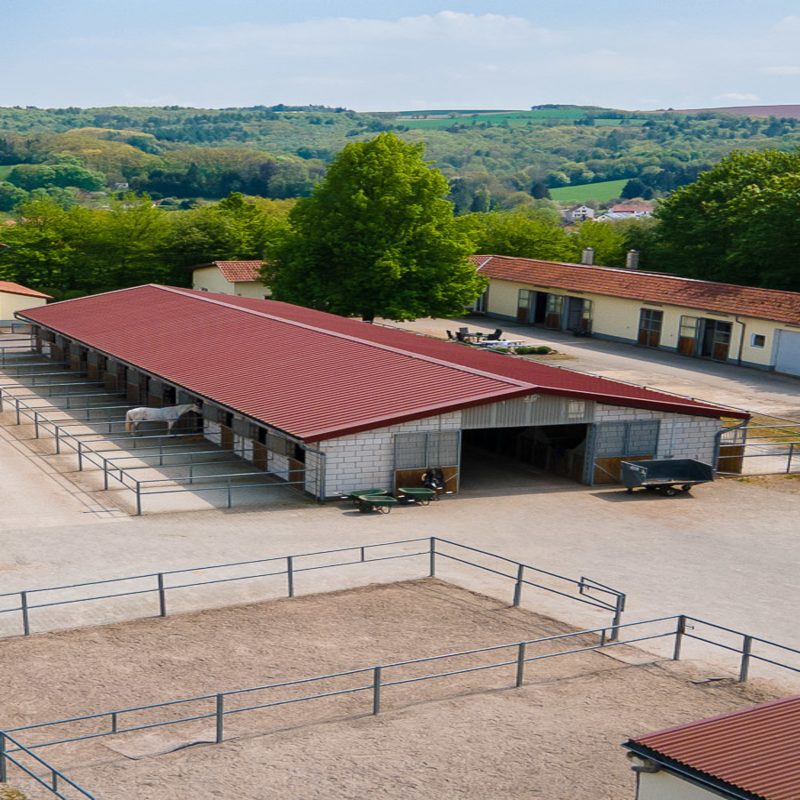 Artgerechte Stallungen