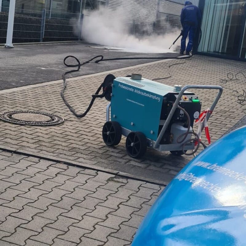 Brennecke Cleaning Grünbelagsentfernung 4