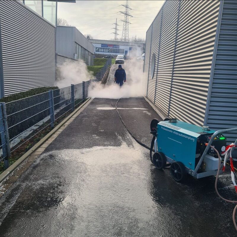 Brennecke Cleaning Grünbelagsentfernung 5