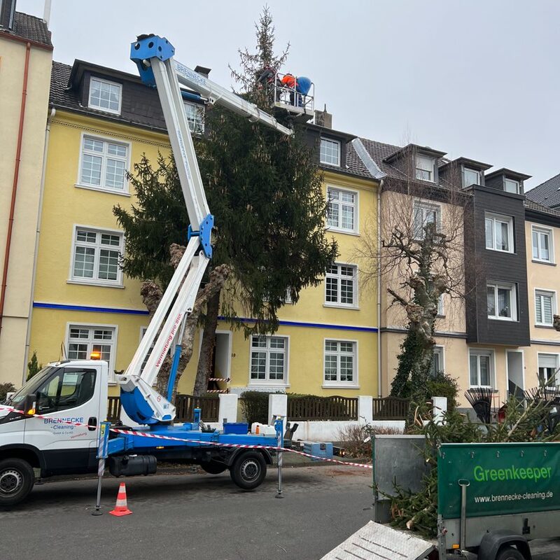 Brennecke Cleaning Grünanlagenpflege 6