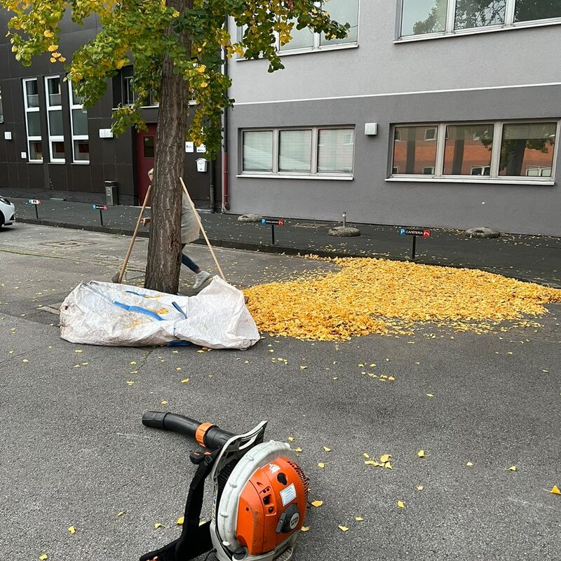 Brennecke Cleaning Grünanlagenpflege 7