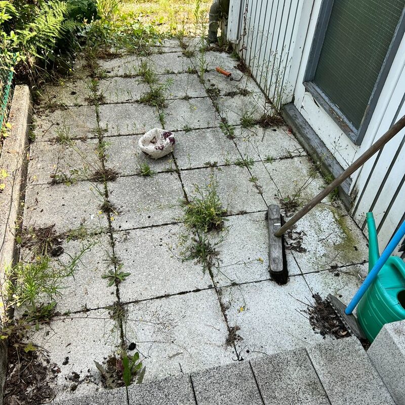 Brennecke Cleaning Grünbelagsentfernung 8