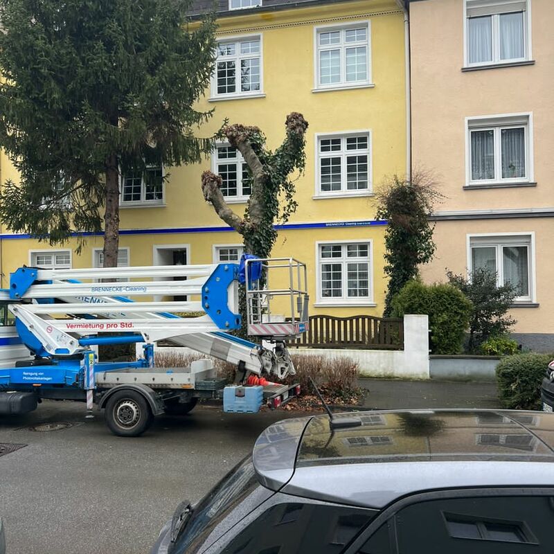 Brennecke Cleaning Dachrinnenreinigung 1