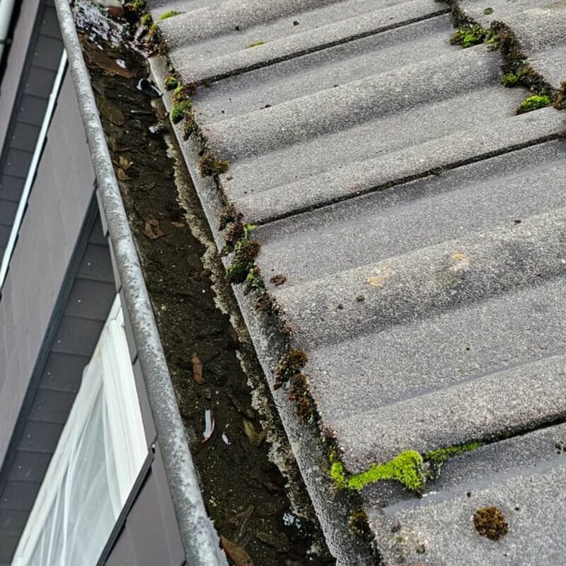 Brennecke Cleaning Dachrinnenreinigung 3