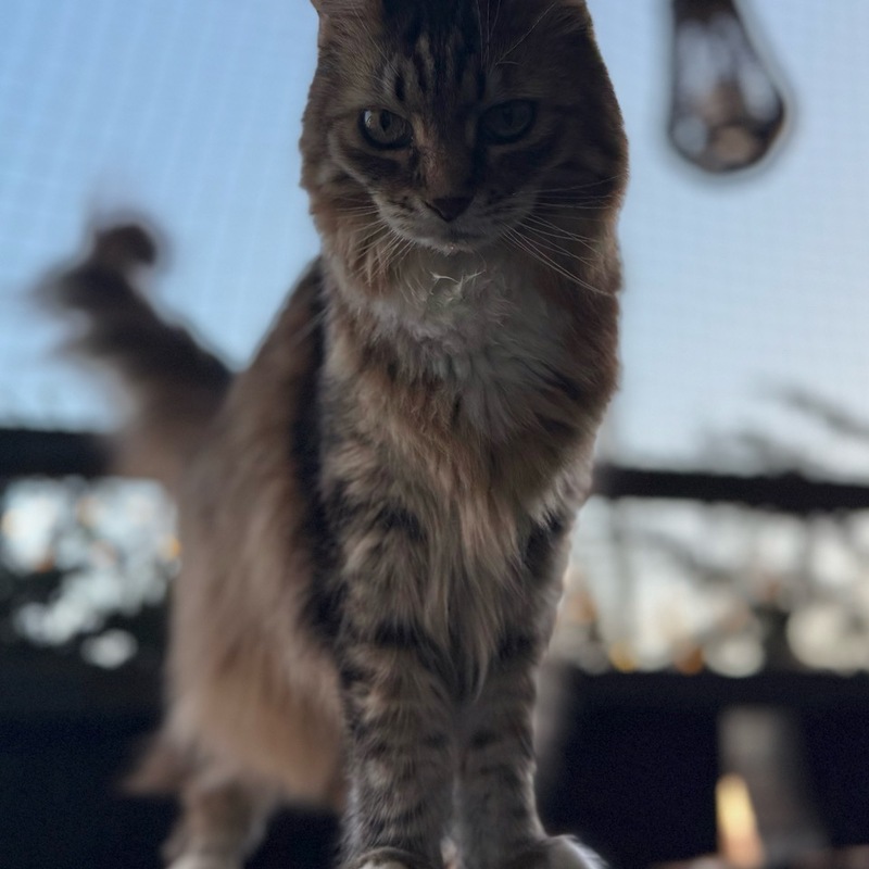 Lilly hat draußen alles im Blick