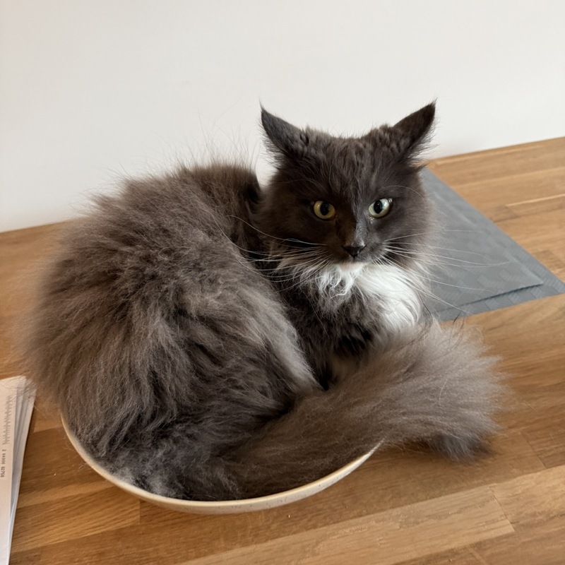 Kira sieht keinen Grund die Schale den Früchten zu überlassen.