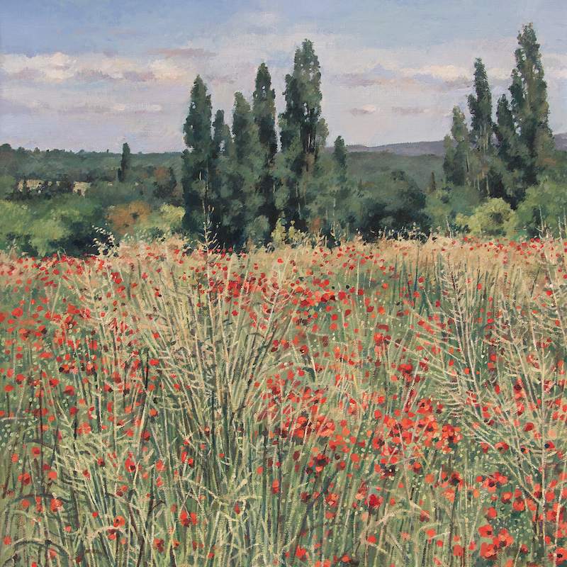 paysage près de valréas - vaucluse 2025, 44 x 36 cm, huile sur toile