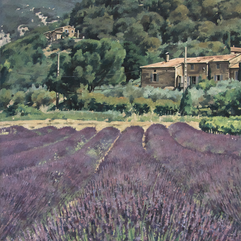 paysage près de venterol - auvergne-rhône-alpes 2025, 44 x 36 cm, huile sur toile