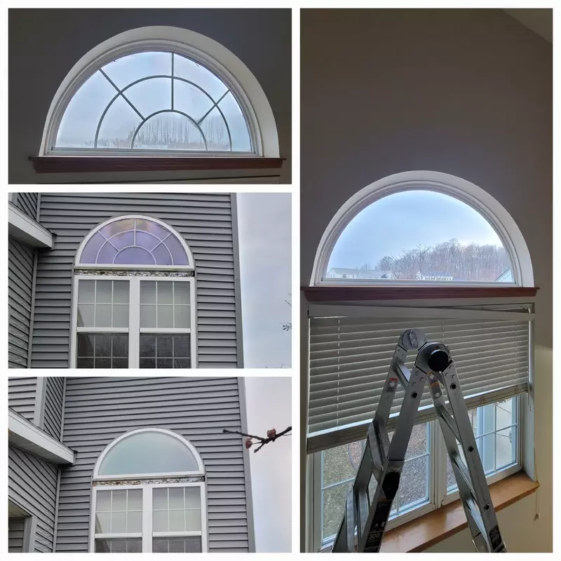 Lunette Replacement.