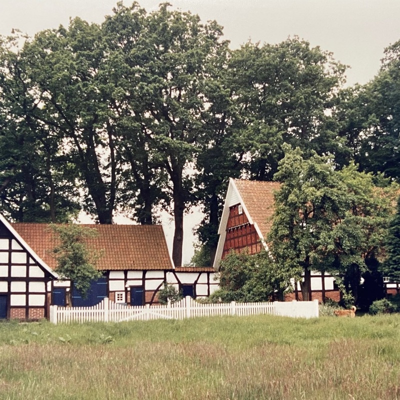 Abels Immobilien GmbH