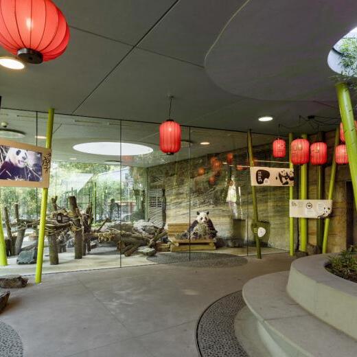 Panda Garden Berliner Zoo - 1000 m² Dachabdichtung mit Bitumenbahnen, Extensive Dachbegrünung, Einbau von Oberlichter