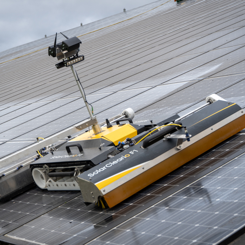 Solarreinigung