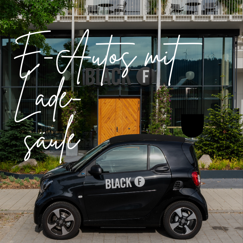 Wir besitzen E-Autos und E-Ladesäulen.