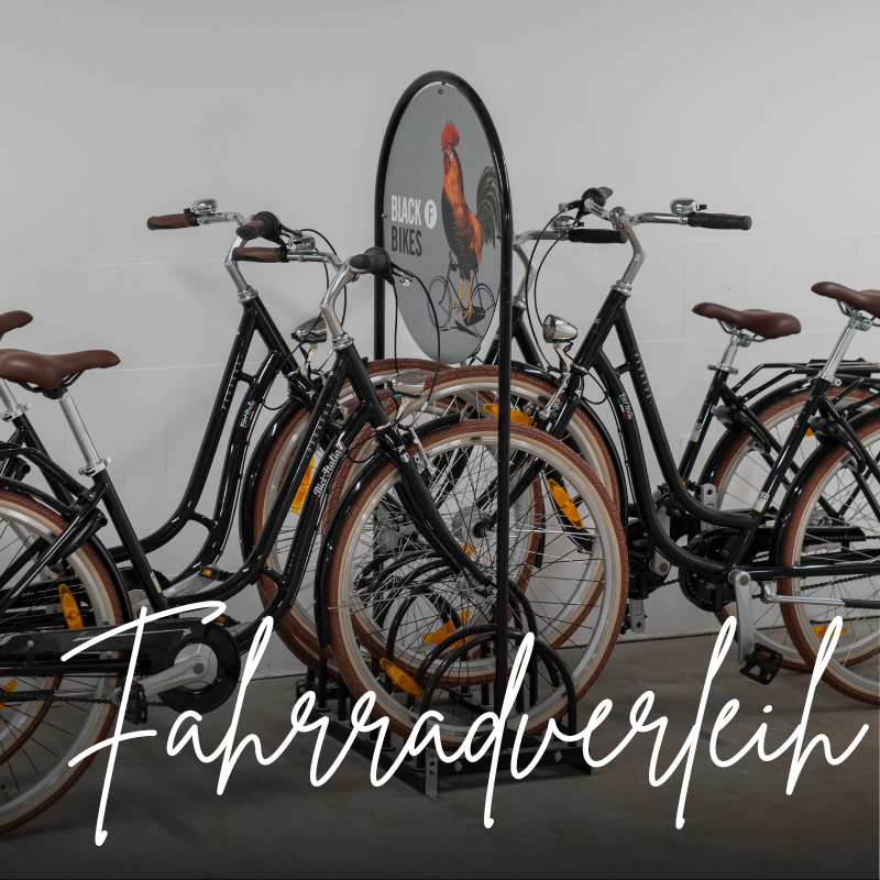 Wir haben eigene Fahrräder für Gäste.