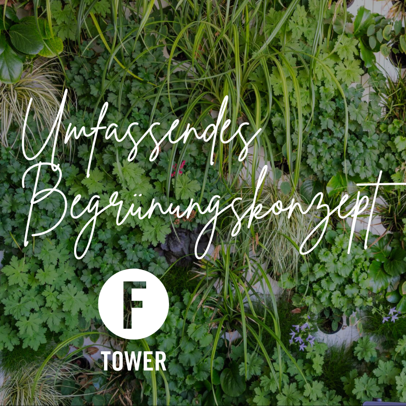 Die grüne Fassade des Black F Tower kann jährlich 35-40 Tonnen CO2 aufnehmen!