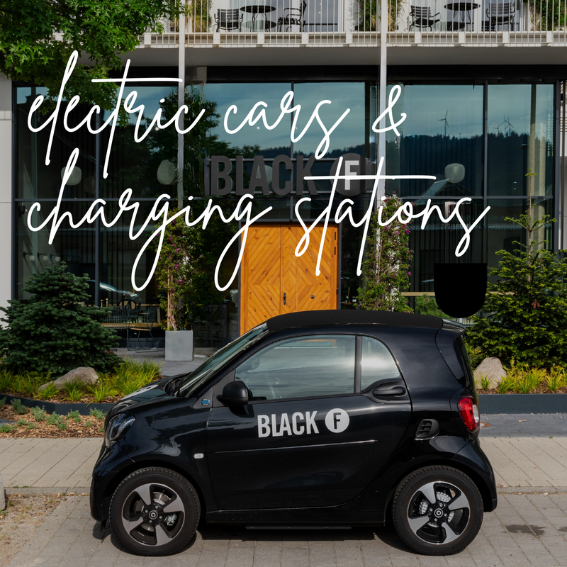 We own electric cars and electric charging stations.