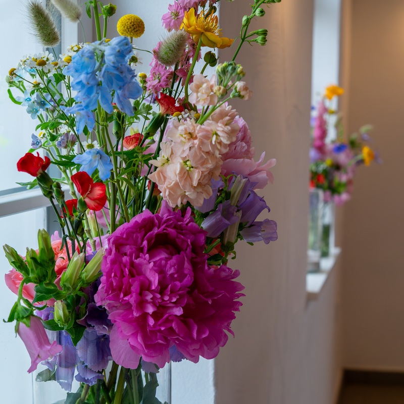Our Flowers
