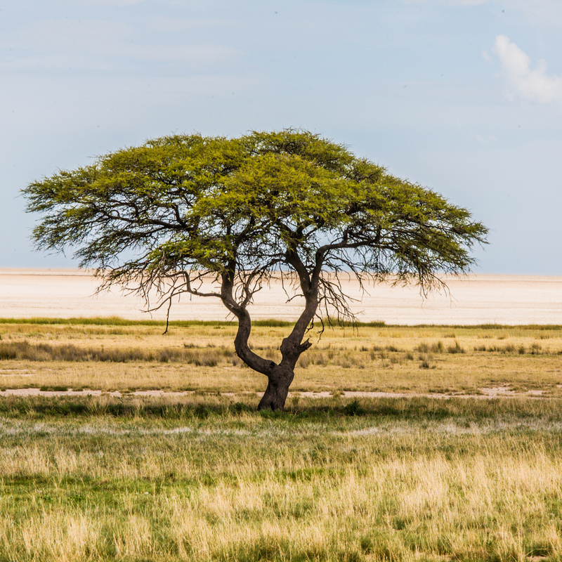 Namibia Szene